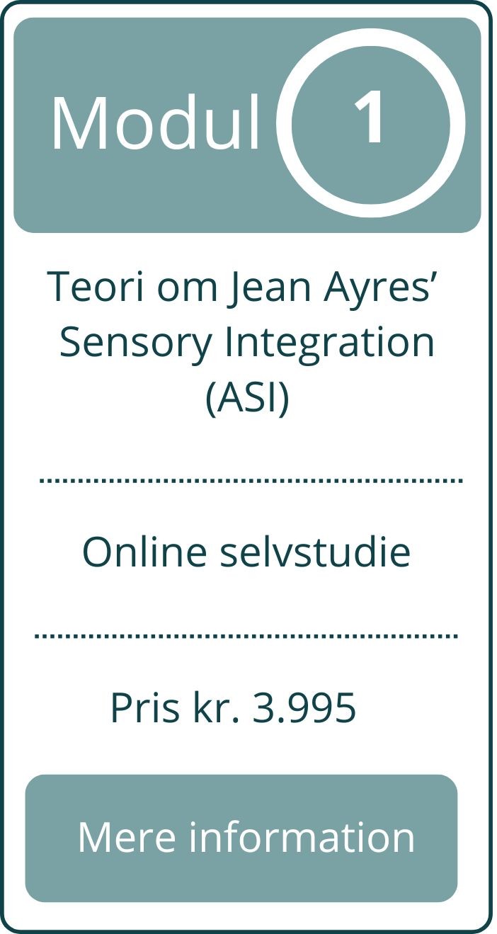 Modul1